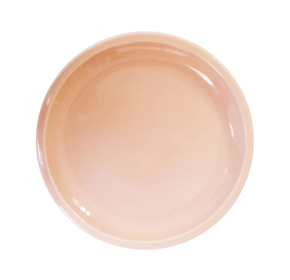 jars-plume-assiette-plate-rose-buvard-brillant-l image 1