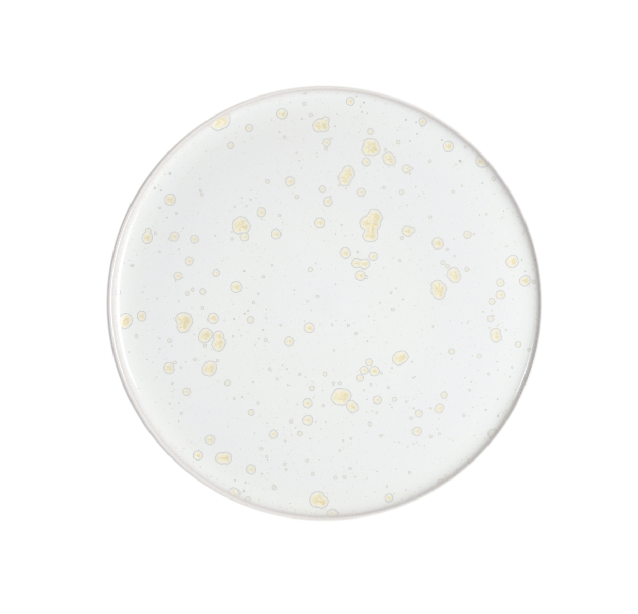 jars-pure-assiette-pr-sentation-nacre-c-ramique image 1
