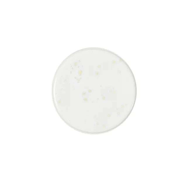 jars-pure-assiette-tapas-nacre-c-ramique-cristallis-e image 1