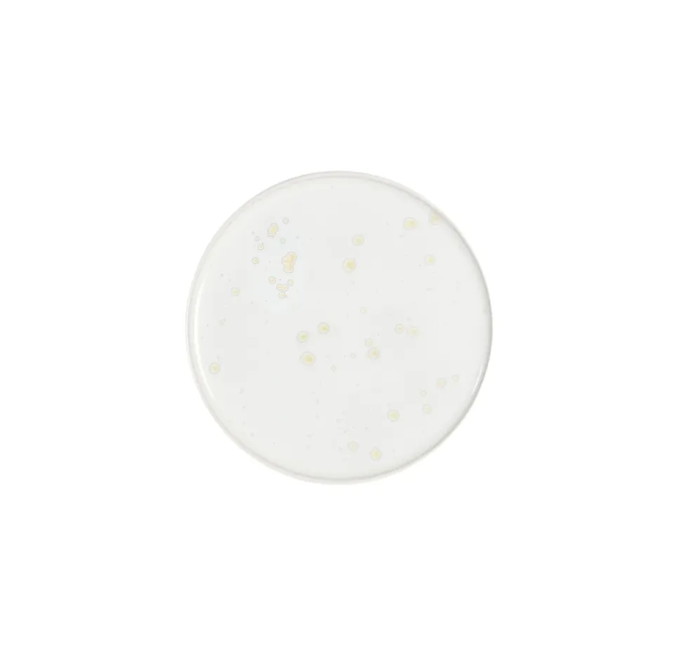 jars-pure-assiette-tapas-nacre-c-ramique-cristallis-e image 1
