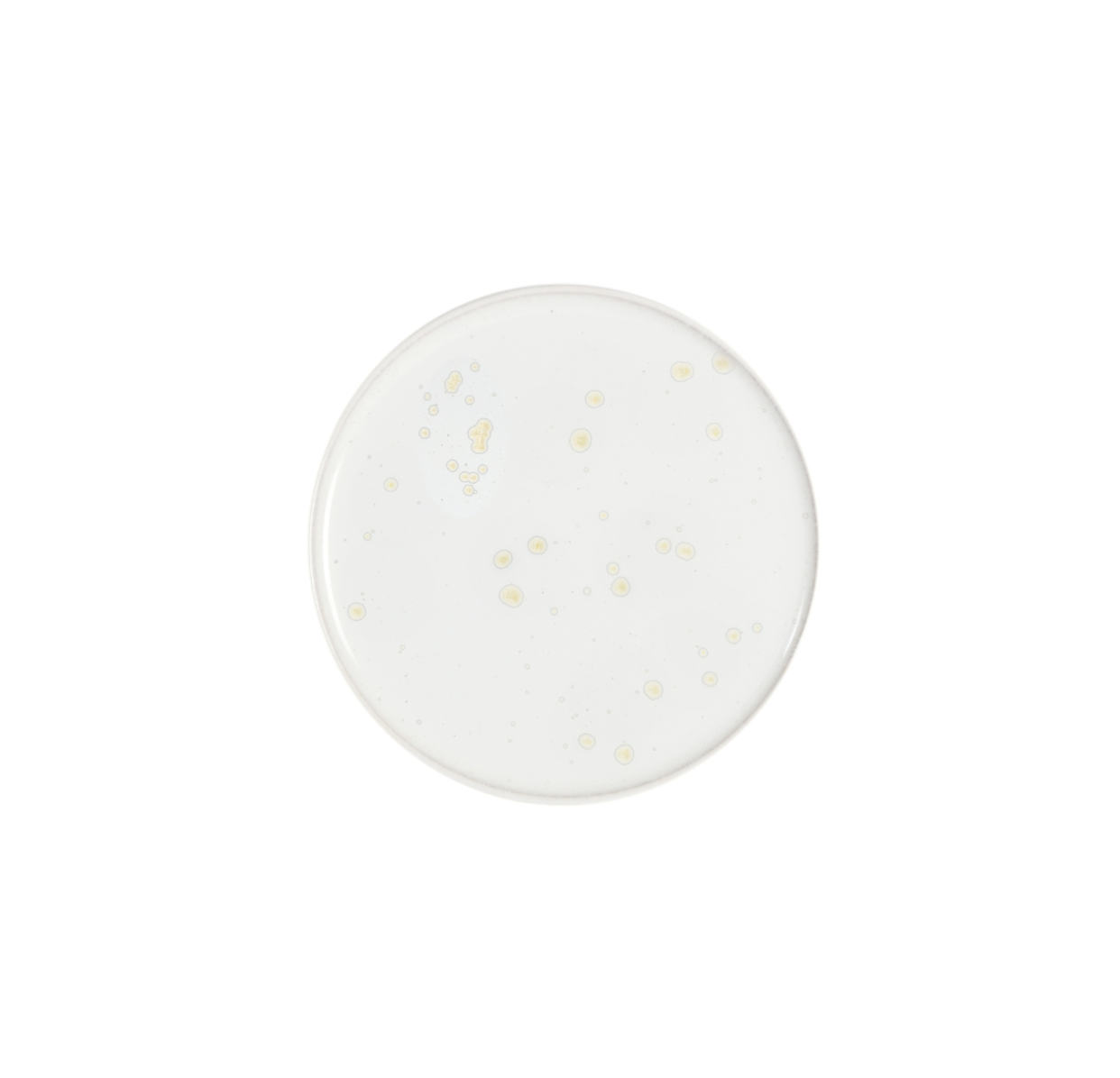 jars-pure-assiette-tapas-nacre-c-ramique-cristallis-e image 1