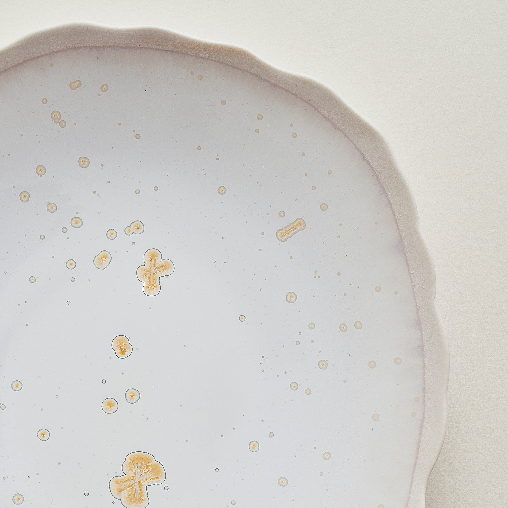 jars-pure-assiette-plate-nacre-c-ramique image 3