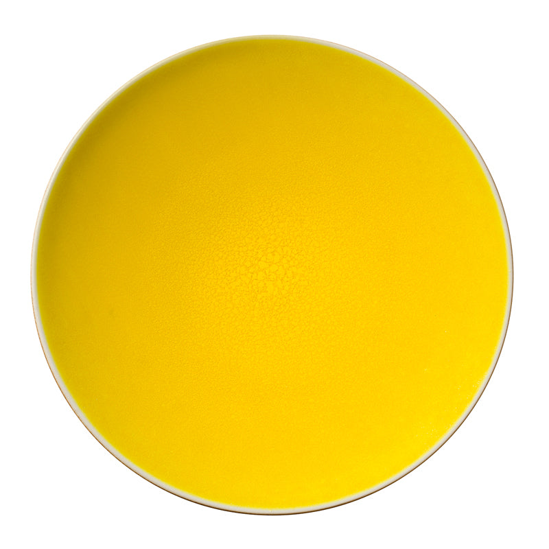 jars-jardin-de-maguelone-assiette-pr-sentation-citron-jaune image 1