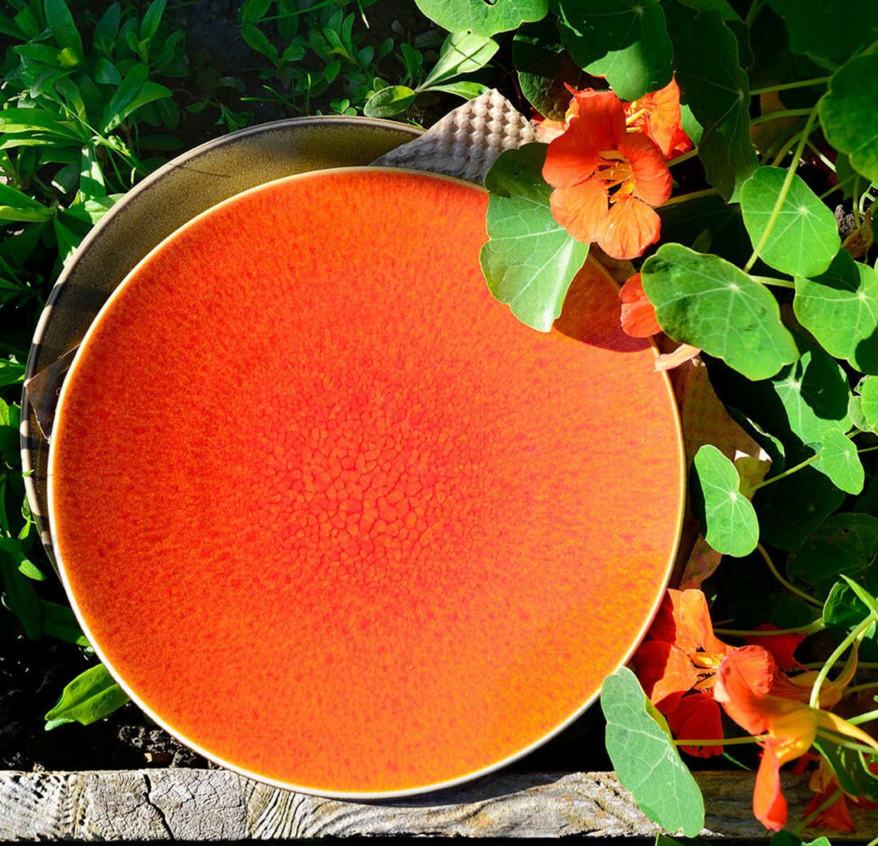 jars-jardin-de-maguelone-assiette-plate-orange-c-ramique image 3