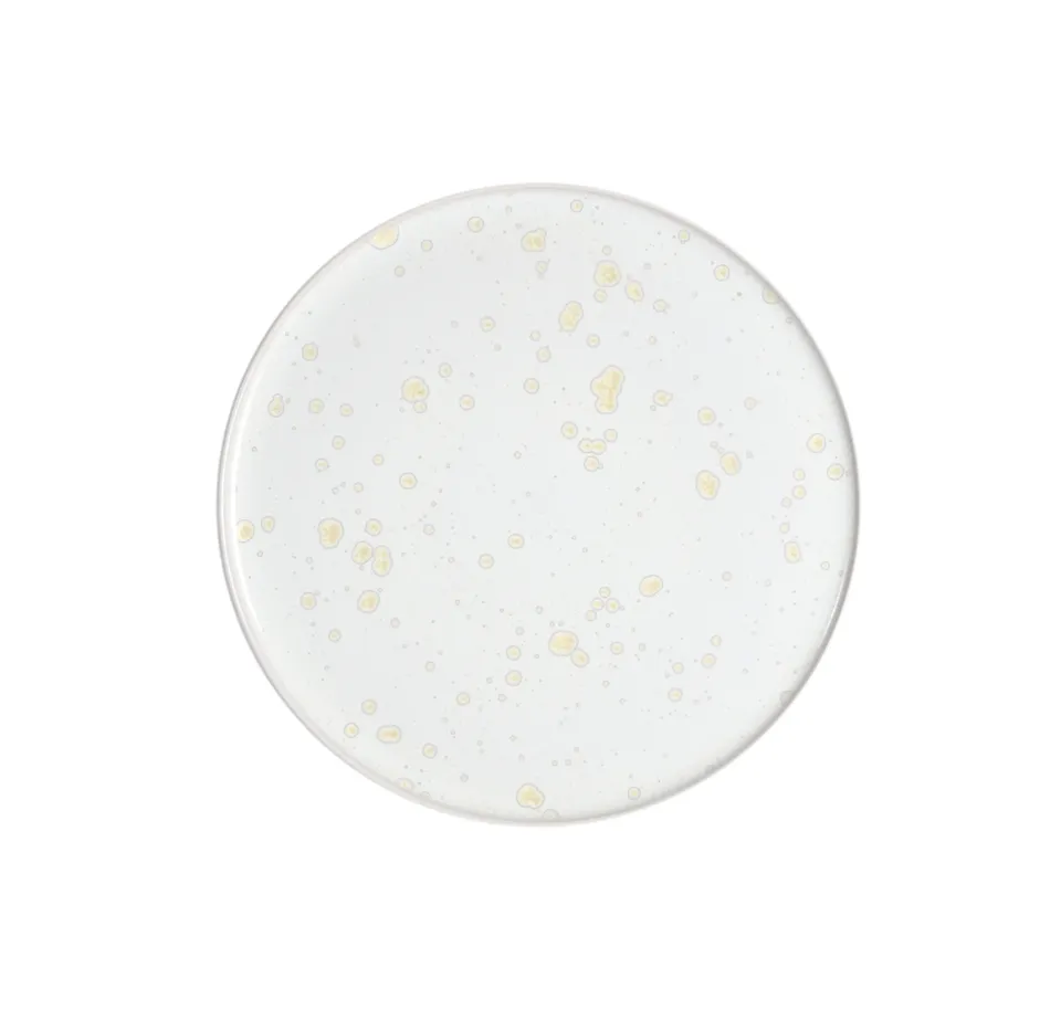 jars-pure-assiette-plate-c-ramique-nacre image 1