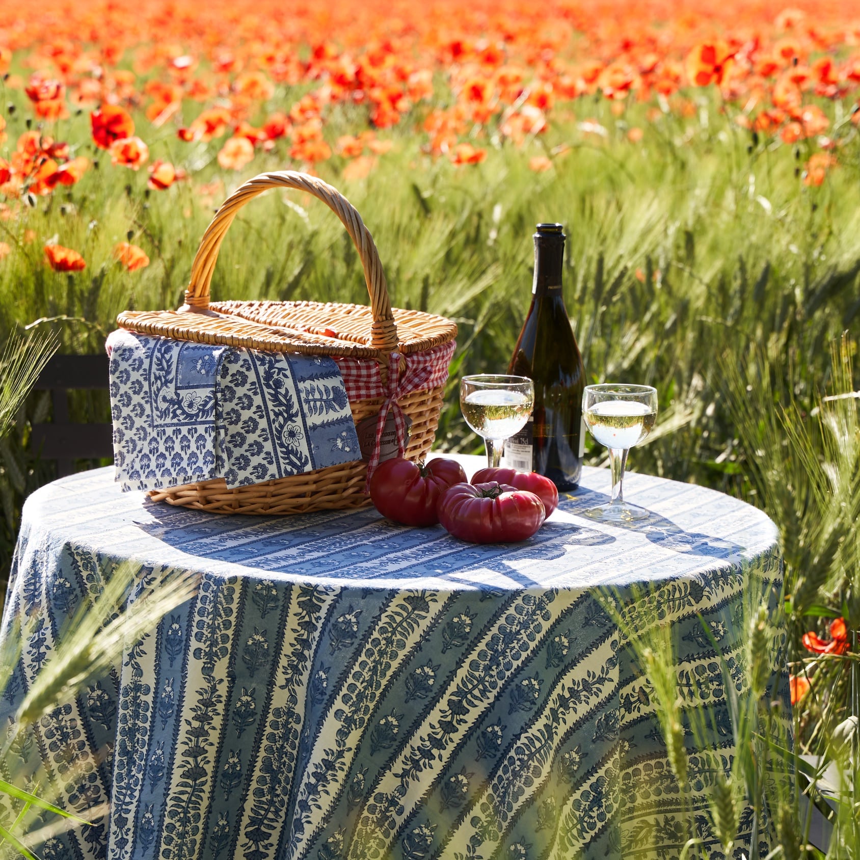 couleur-nature-avignon-nappe-bleu-marine-150x150 image 2