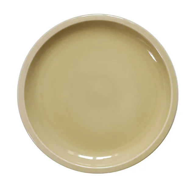 jars-c-ramistes-cantine-assiette-de-pr-sentation-vert-argile-brillante image 1
