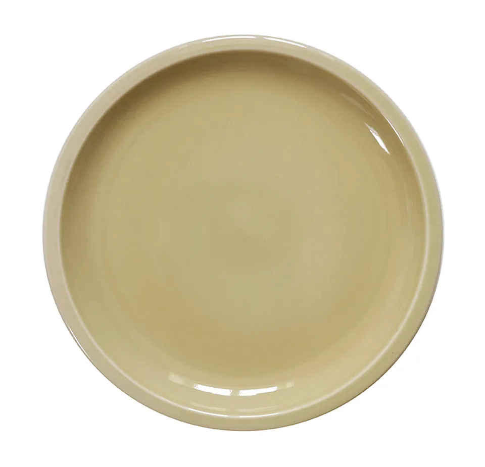 jars-c-ramistes-cantine-assiette-de-pr-sentation-vert-argile-brillante image 1