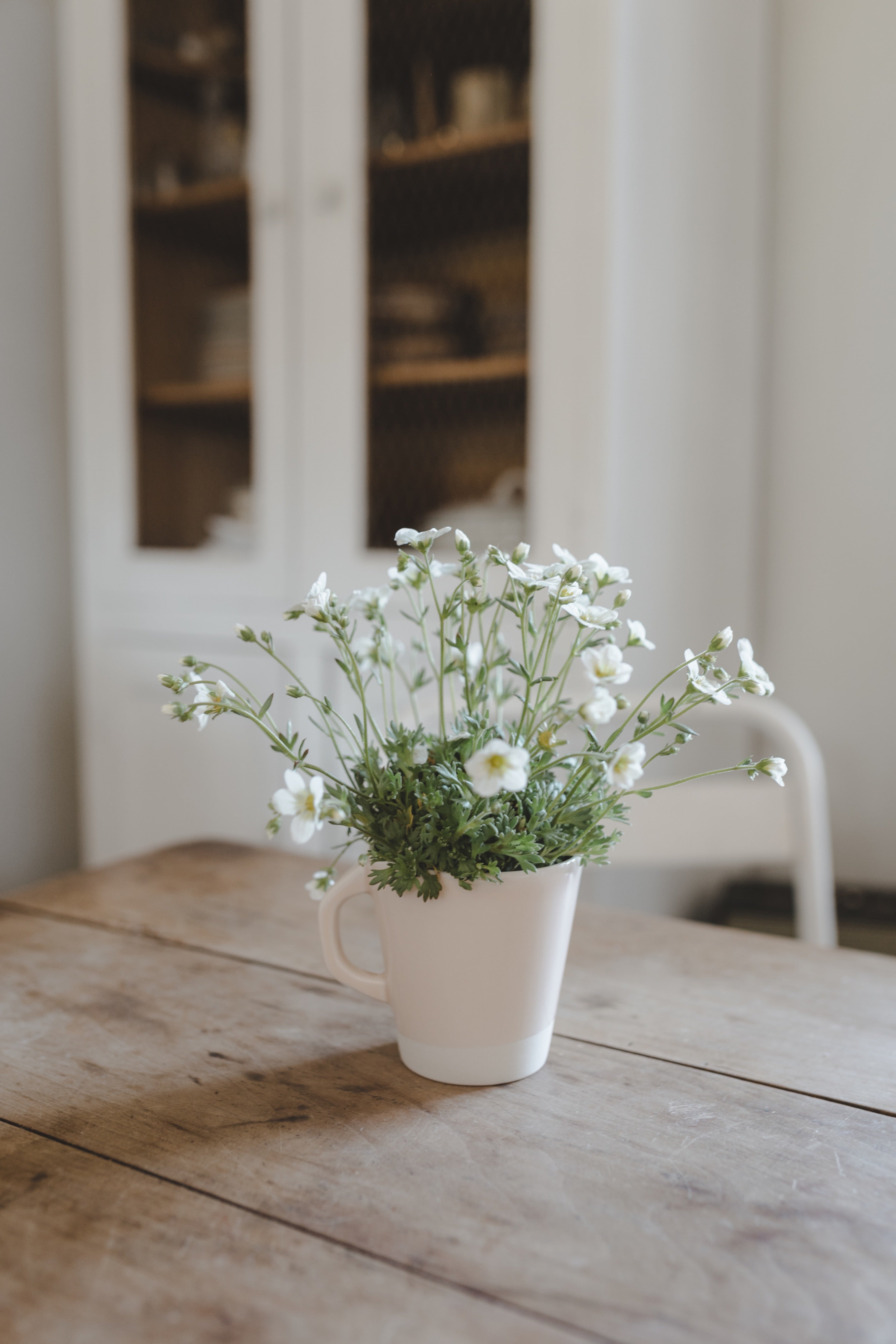 jars-plume-mug-rose-buvard-en-c-ramique-brillante image 2