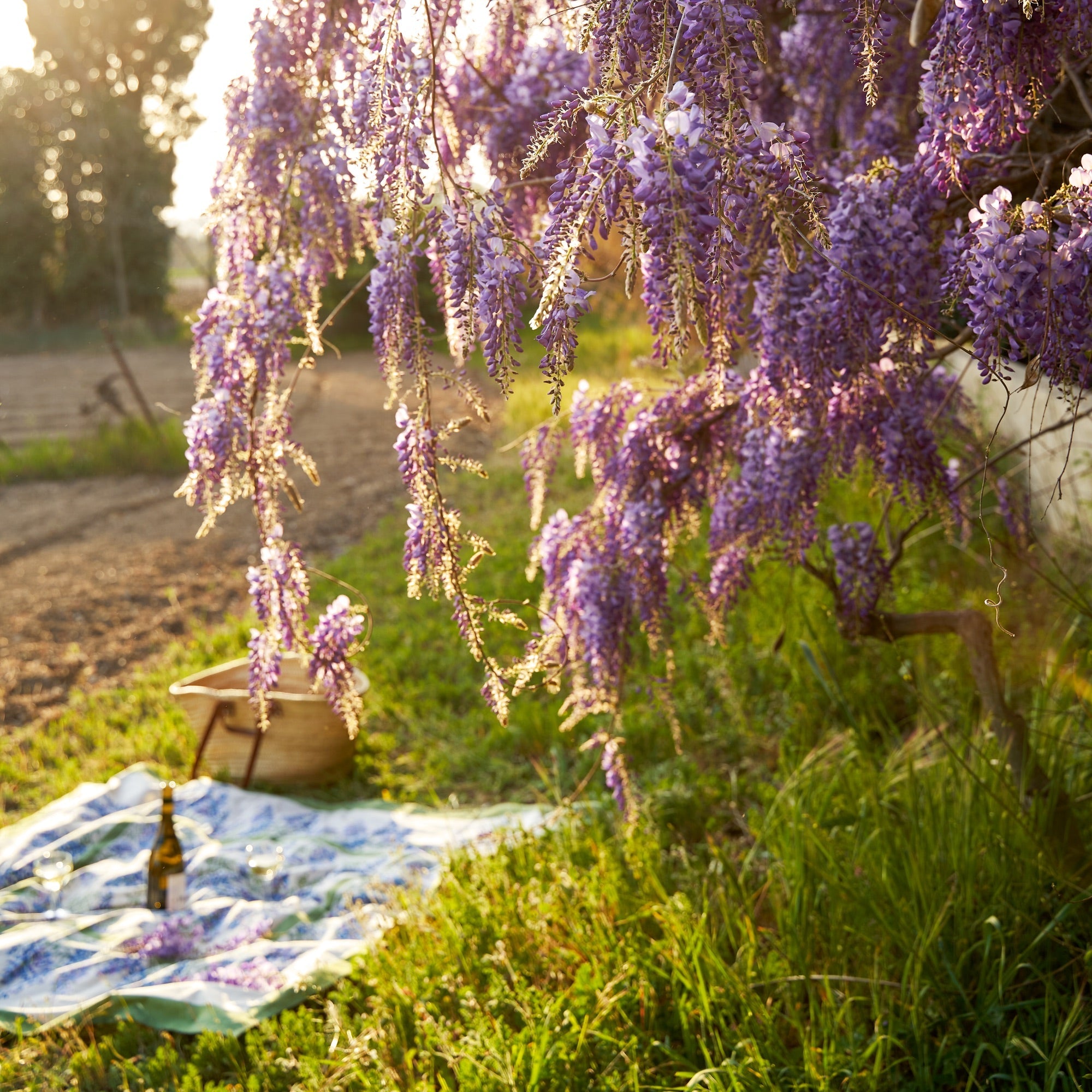 couleur-nature-wisteria-nappe-vert-et-bleu-coton image 7