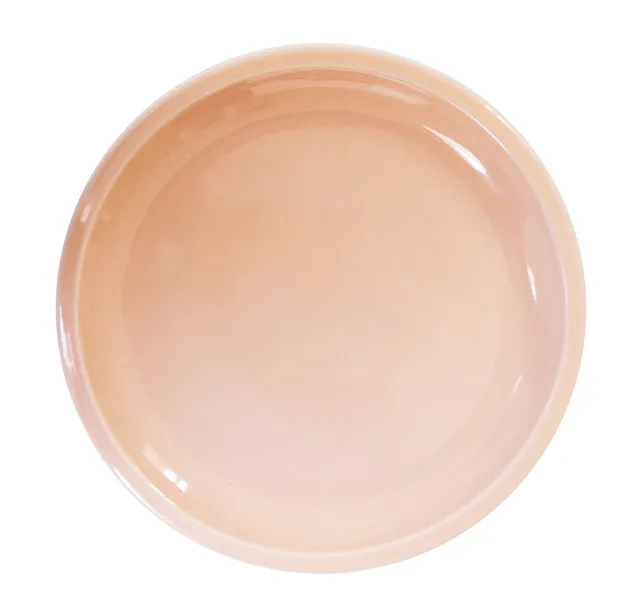 jars-plume-assiette-de-pr-sentation-rose-buvard-c-ramique image 1