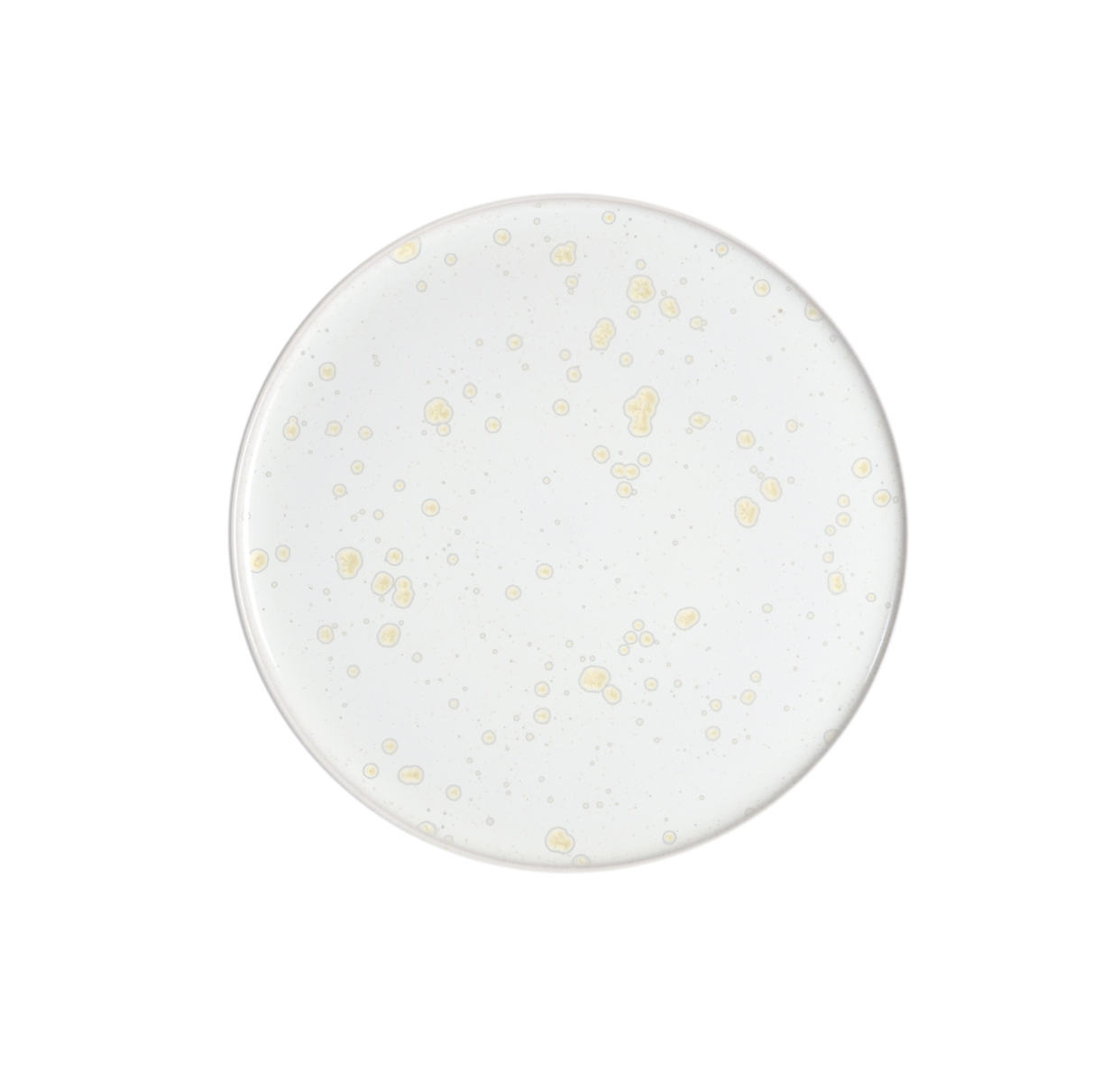 jars-pure-assiette-plate-c-ramique-nacre image 1