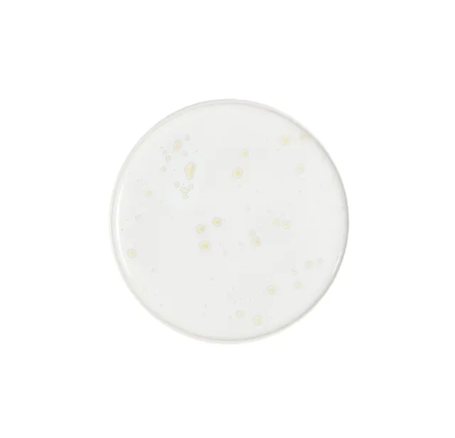jars-pure-assiette-dessert-c-ramique-nacre image 1